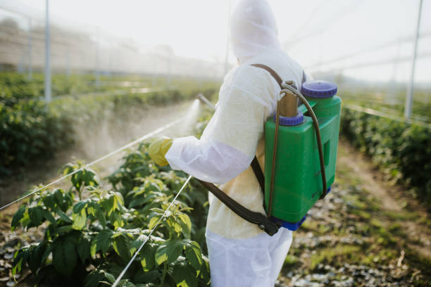 Best Ant Control Services  in Atwood, TN
